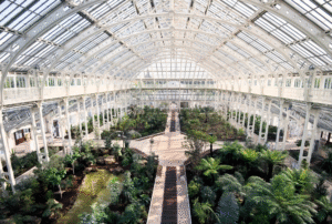 Kew Gardens venue pre-wedding shoot London. In the fable cameraworks, Indian wedding photography London