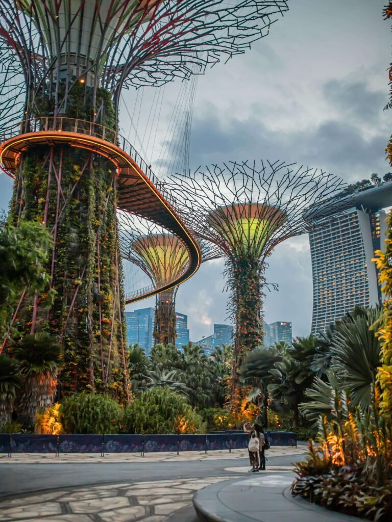 magical weddings in Singapore - gardens by the bay super trees