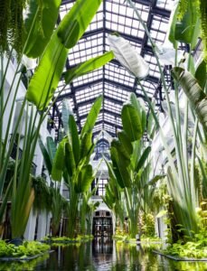 Siam Bangkok: Atrium is great for editorial wedding photography in Bangkok