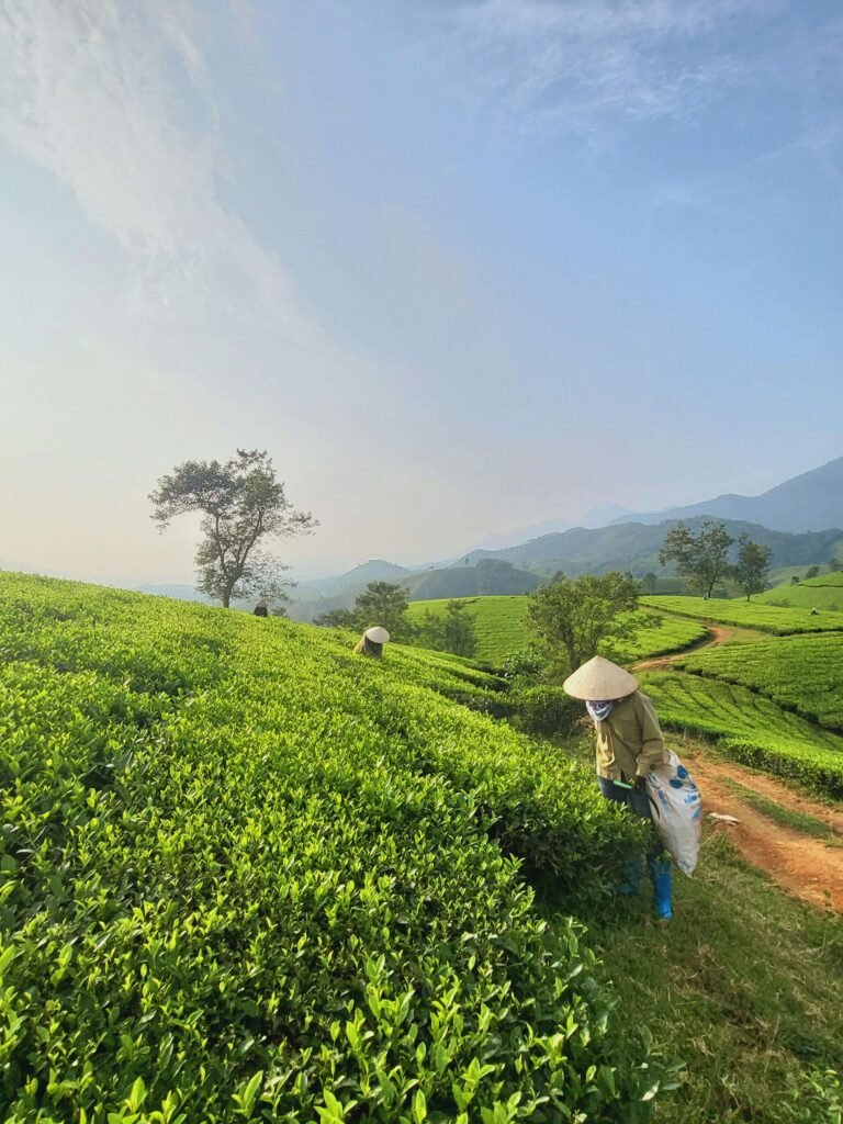 wedding photography-videography Vietnam